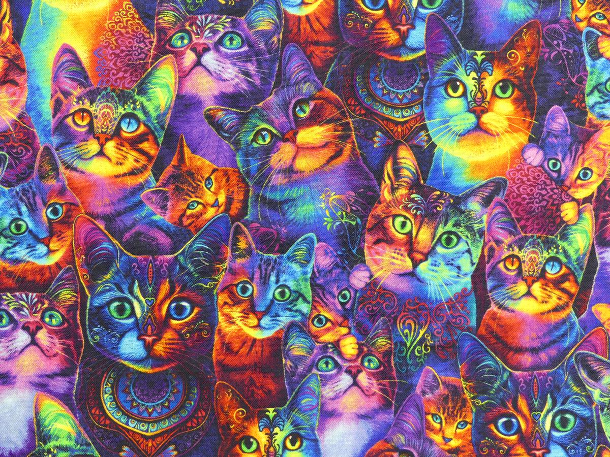Patchworkstoff mit Katzen in Neonfarben